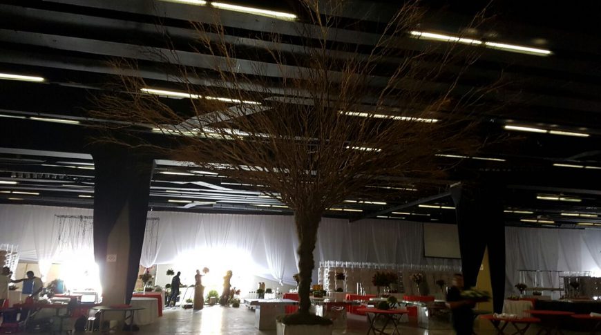 ENG.MACK- PRO MAGNO 09